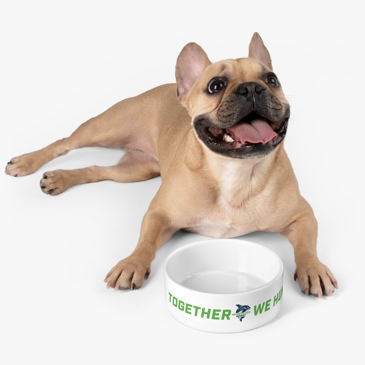 ONLINE ONLY: Seawolves Pet Bowl