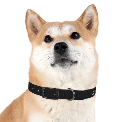 ONLINE ONLY: Seawolves Dog Collar