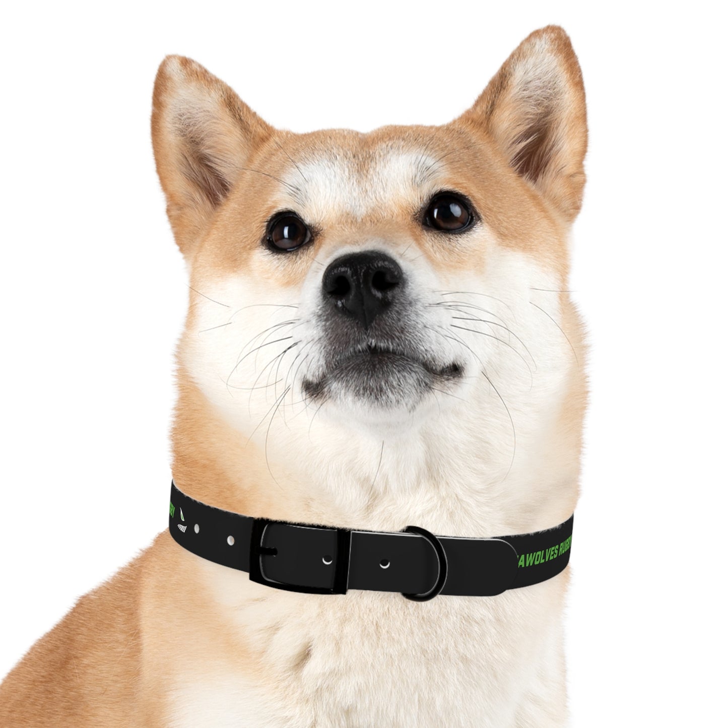ONLINE ONLY: Seawolves Dog Collar